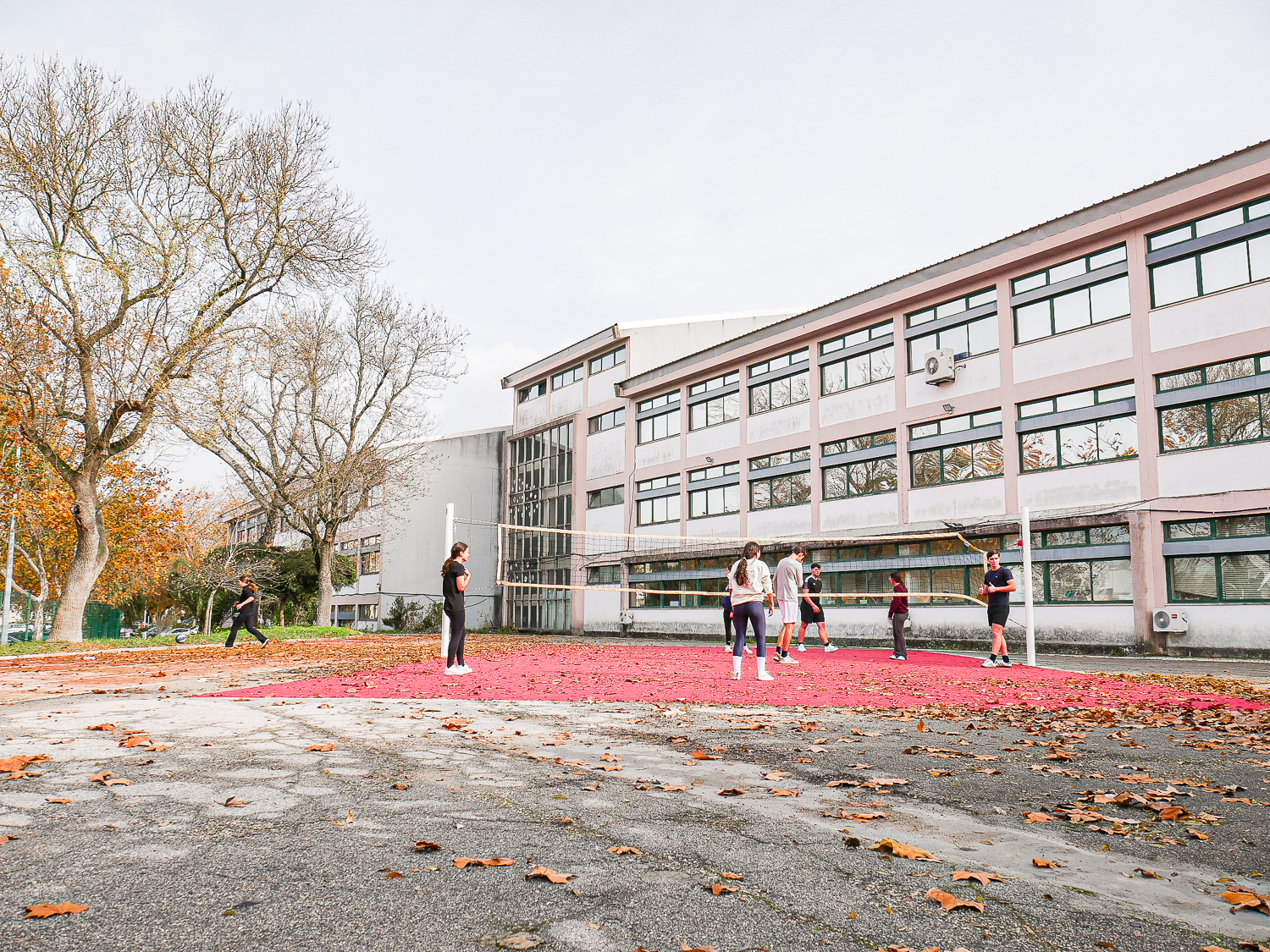 Escola Secundária Dr. Ginestal Machado